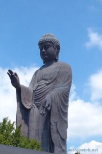 Ushiku-daibutsu (7)