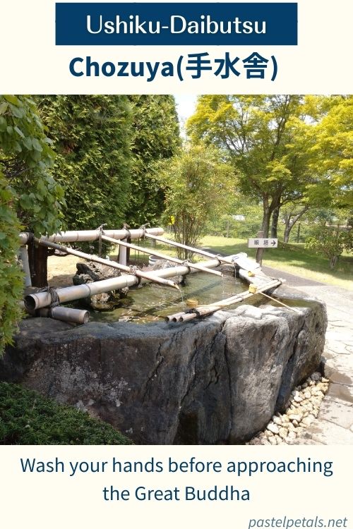 Ushiku-daibutsu (9)