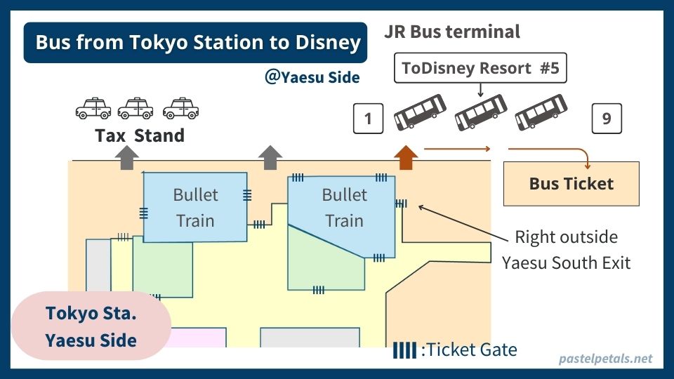 Tokyo-to-Disney (10)